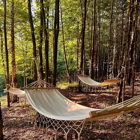 Sia Campsite Sibiu